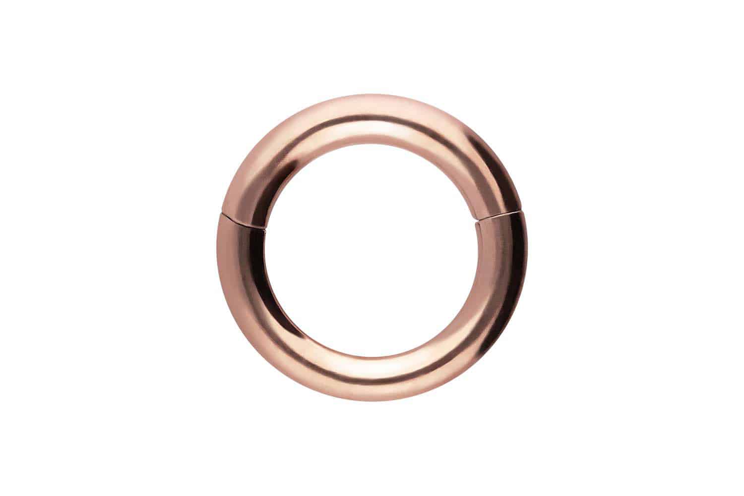 Chirurgenstahl Segmentring Clicker Piercing